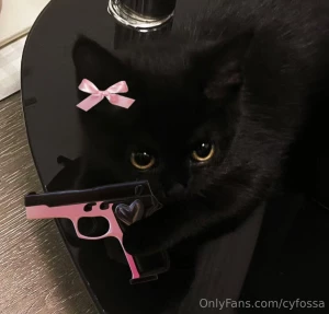 To help with car repairs still around 200 short for the 675 diagnostic