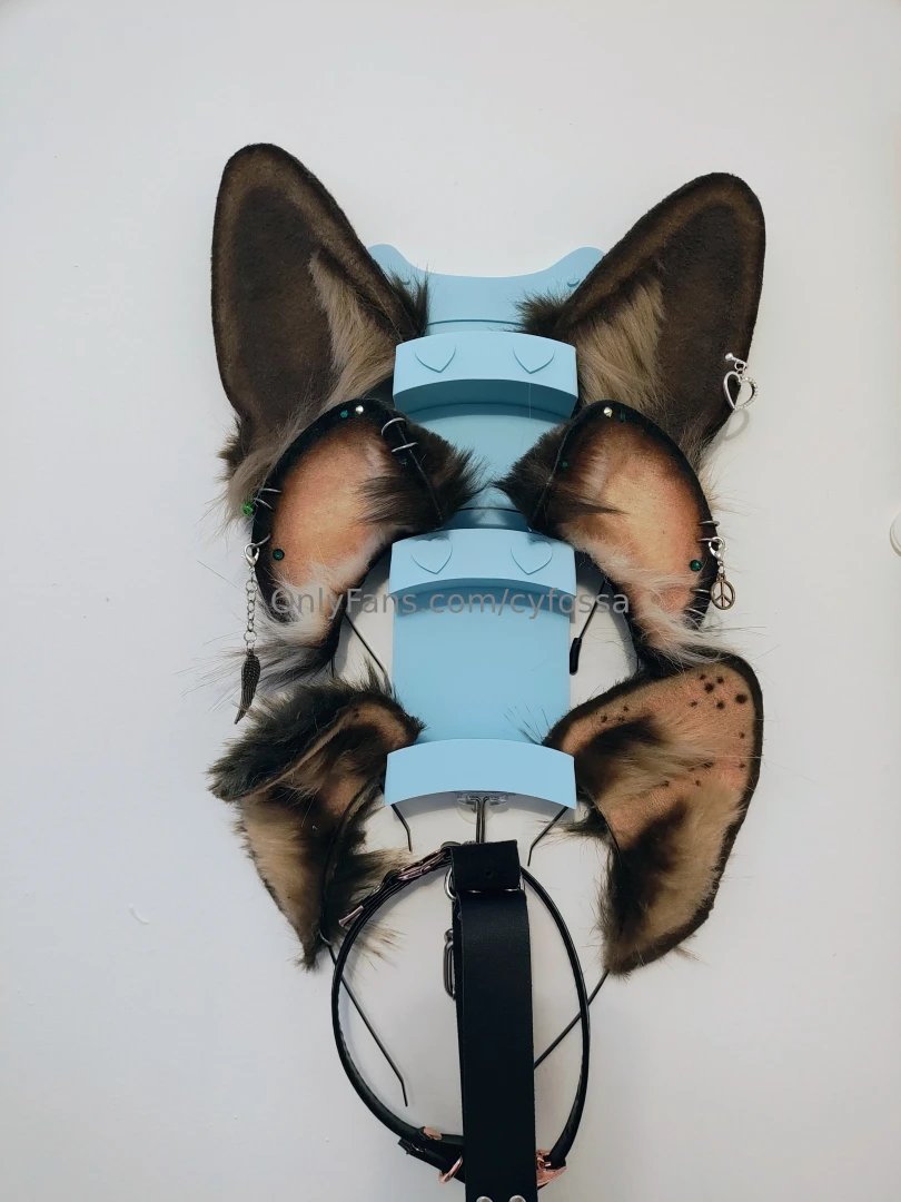 Got a puppy tail made to match my ear sets finally first photo is from part 1 
