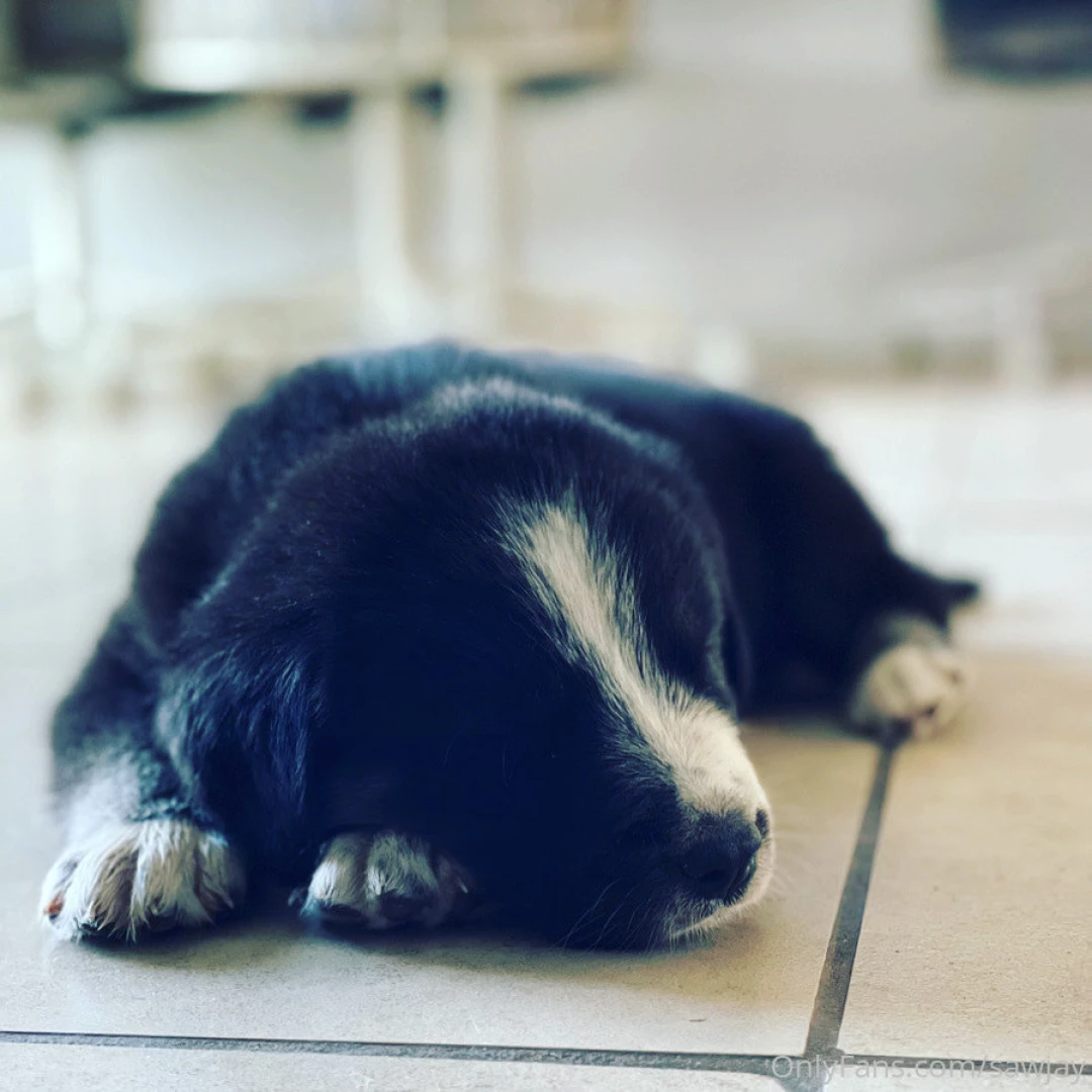 Everybody say hello to the member of the family 
