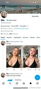 I finally have a new twitter x ready to go if you followed my old