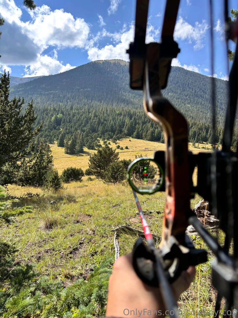 Hunting for some tasty meat 