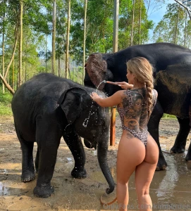 Elephants today i have a lot of fun in thailand join me here https