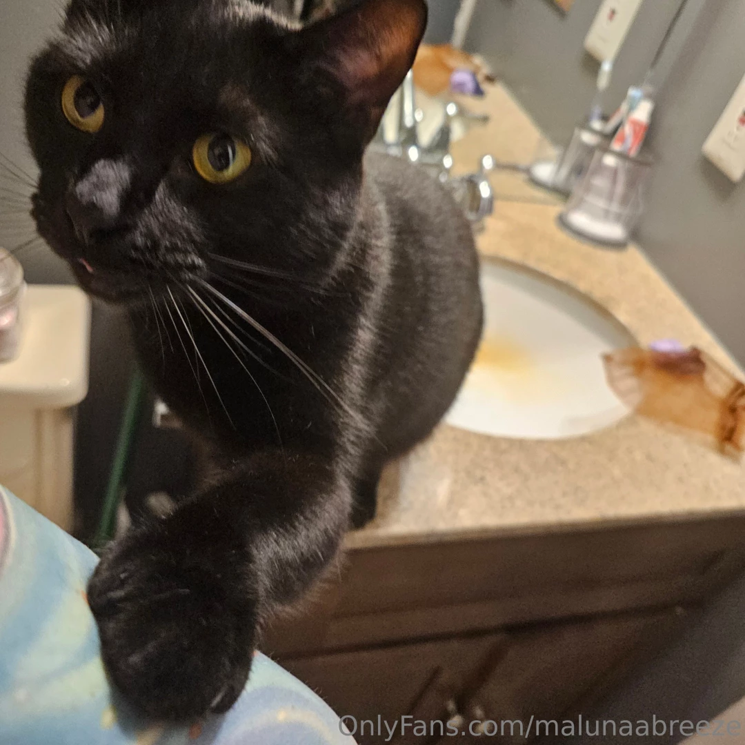 Kitty likes the bath part 4 