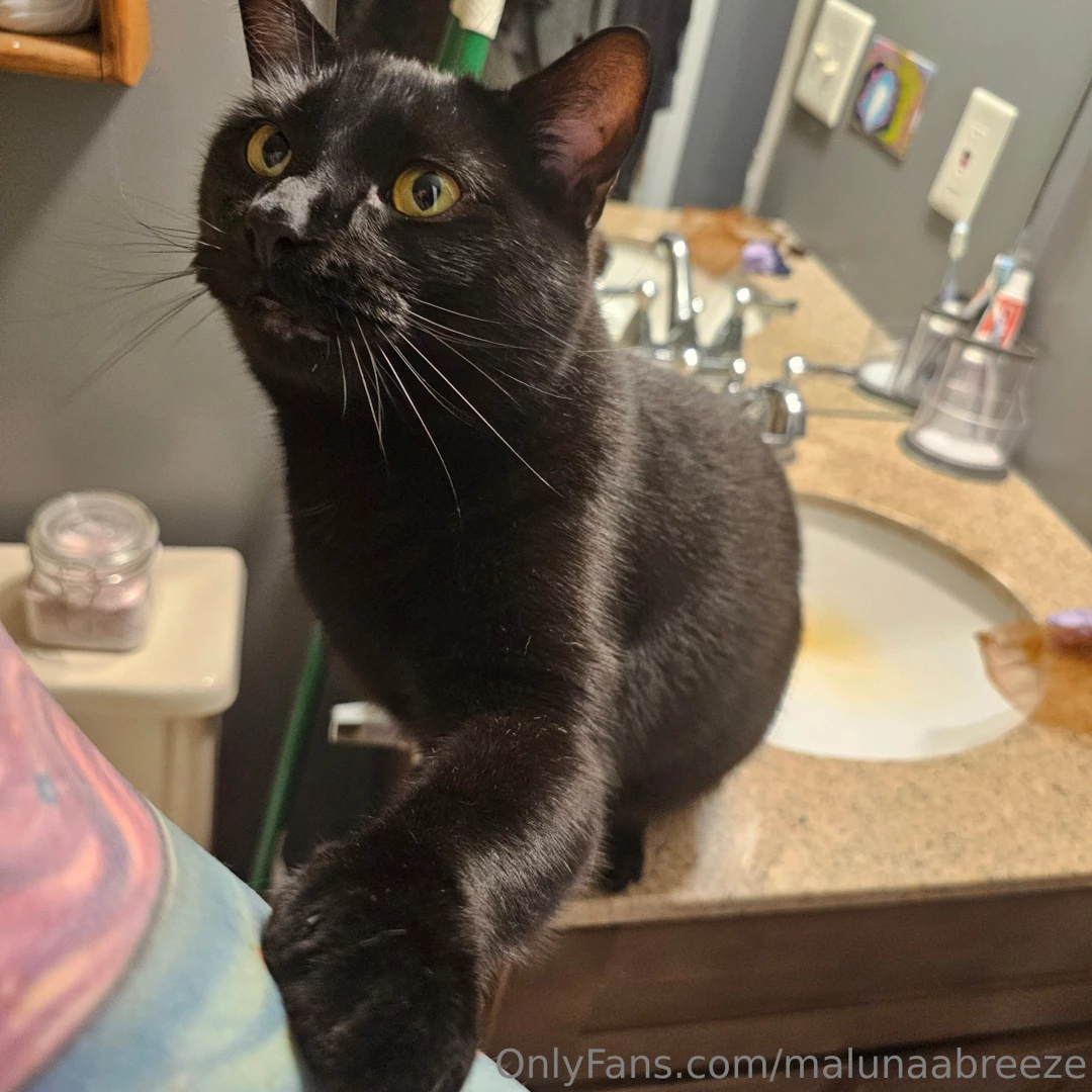 Kitty likes the bath part 3 