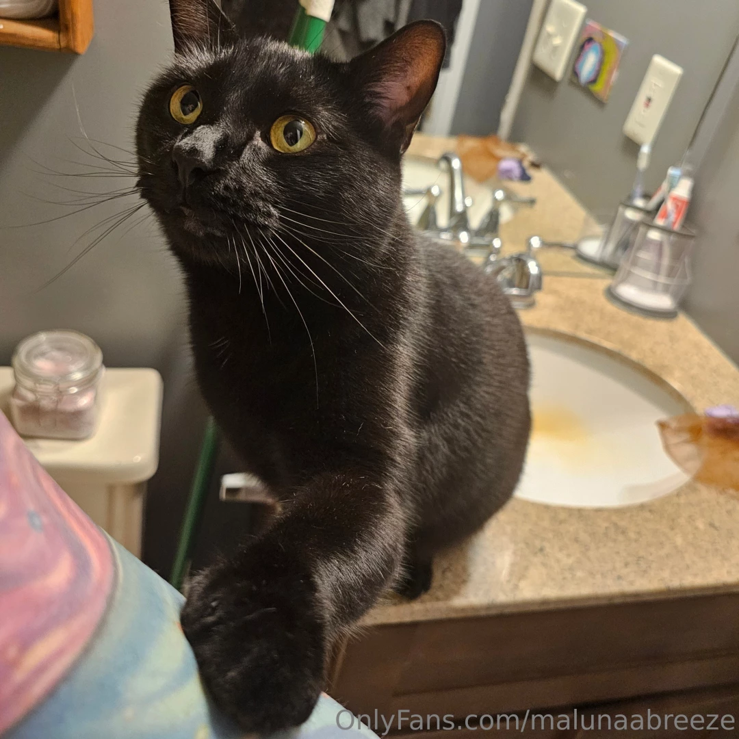 Kitty likes the bath part 1 