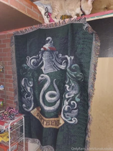 Just installed the bathroom door finally this tiny home is nice and