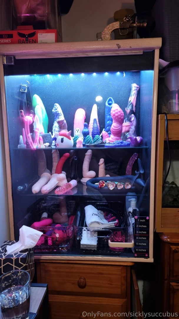 Cabinet tour coming soon 