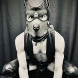 Rocket the Smut-Mutt