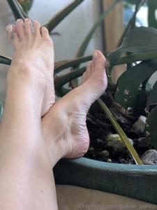 Plants and long toes part 1