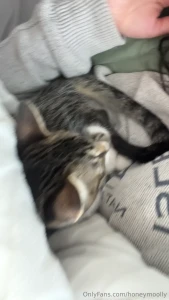 Pets pets everywhere just a word of warning you better bring some