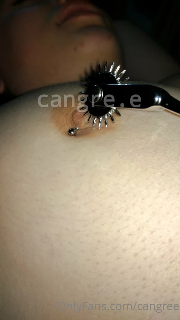 Which zoom do you like the most 