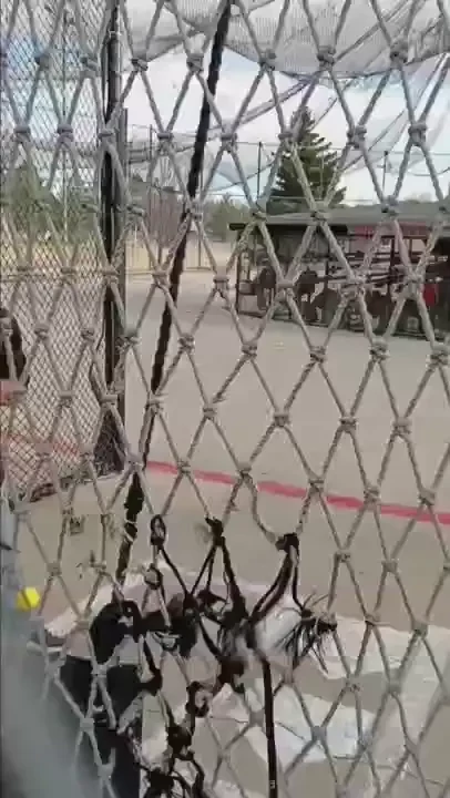 Compilation of dingers not to be confused with the compilations of my 