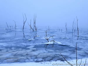 Reflections on a frozen lake spaceape2045 spaceape2080 lakelife part 1