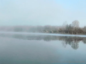 Fog on the lake