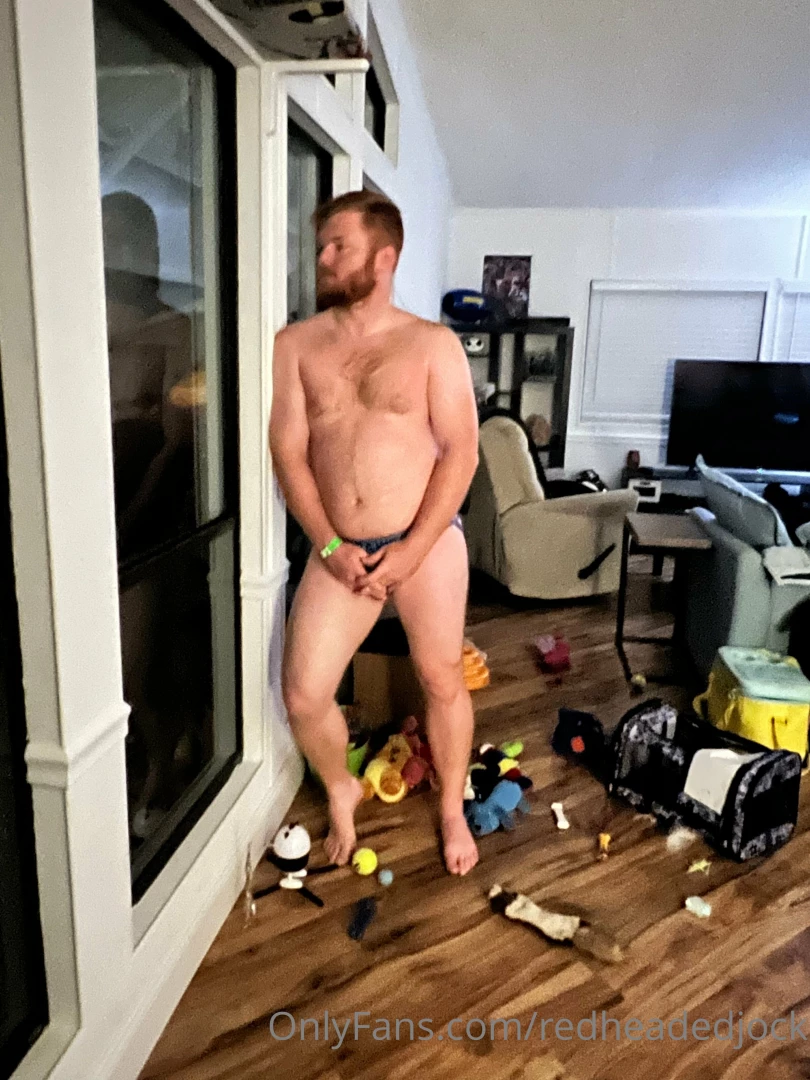 Little home photo shoot don t mind all the cat and dog toys part 22 