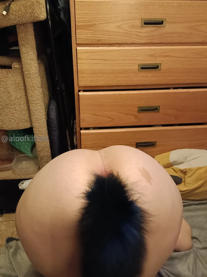 Aloofkitten part 151 
