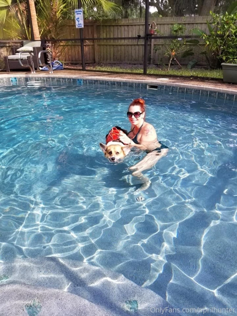 Some of you know my corgi is crippled from degenerative myelopathy so part 1 