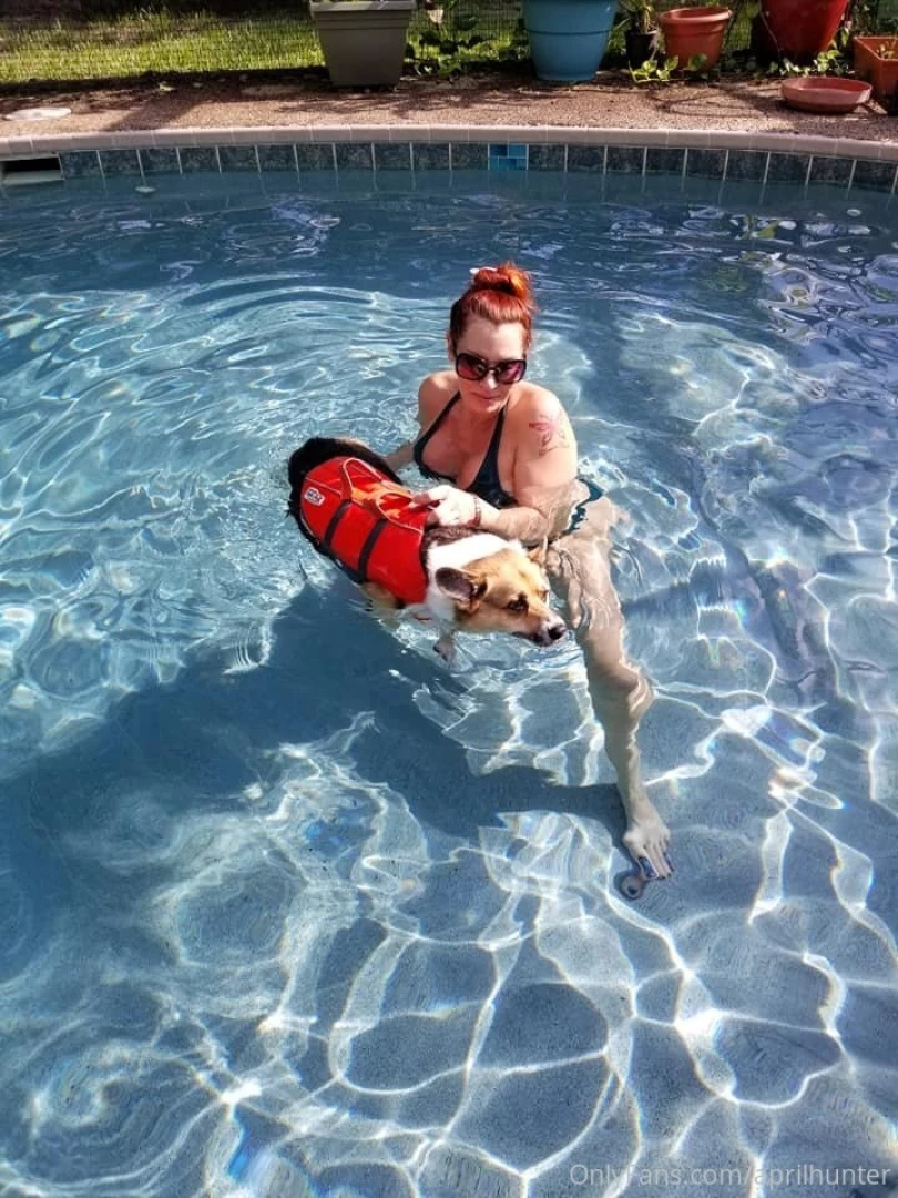 Some of you know my corgi is crippled from degenerative myelopathy so part 2 