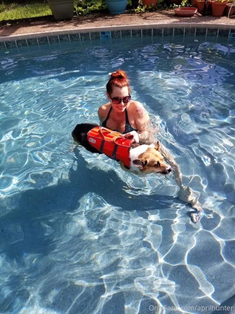 Some of you know my corgi is crippled from degenerative myelopathy so 