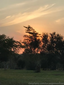 I had the parrots as a spectator part 1