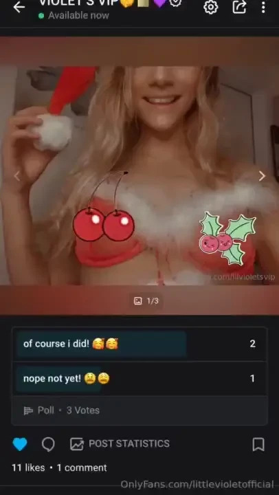 If u missed the sexy christmas pictures i posted every single day of 