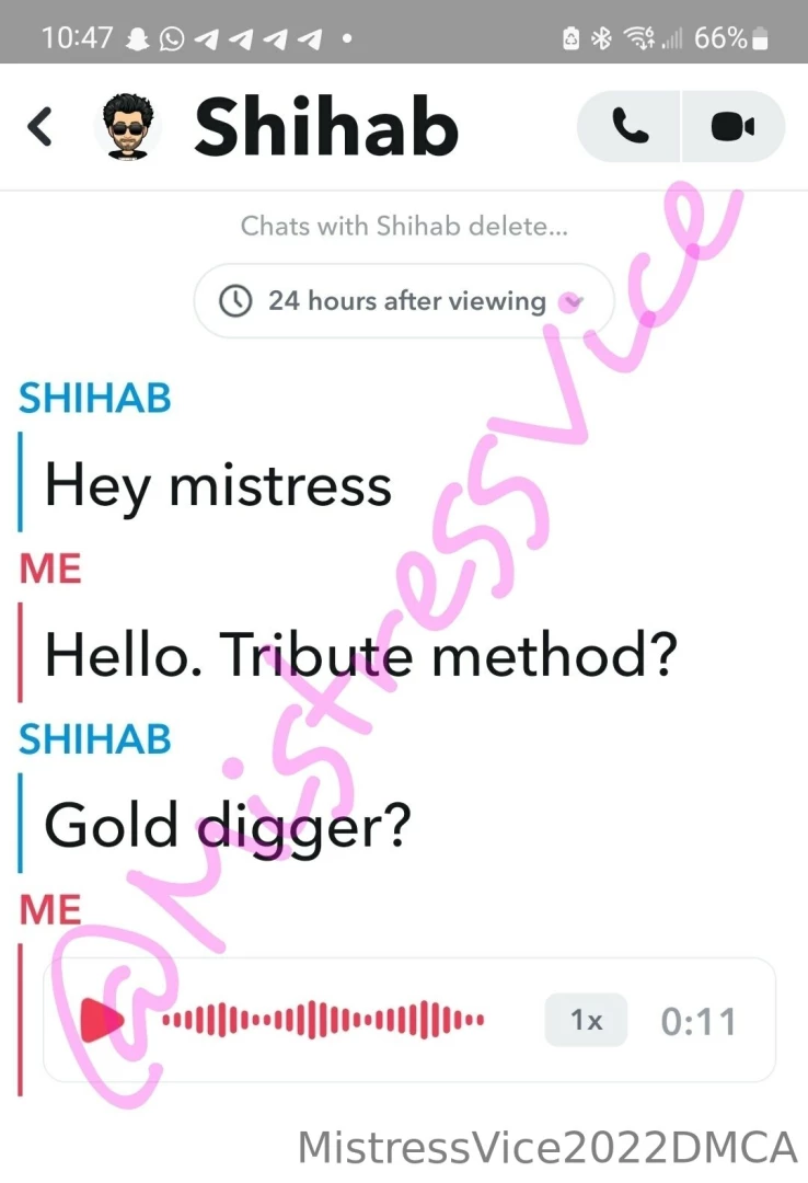 It s queen golddigger to you bitch thank you very much that was 