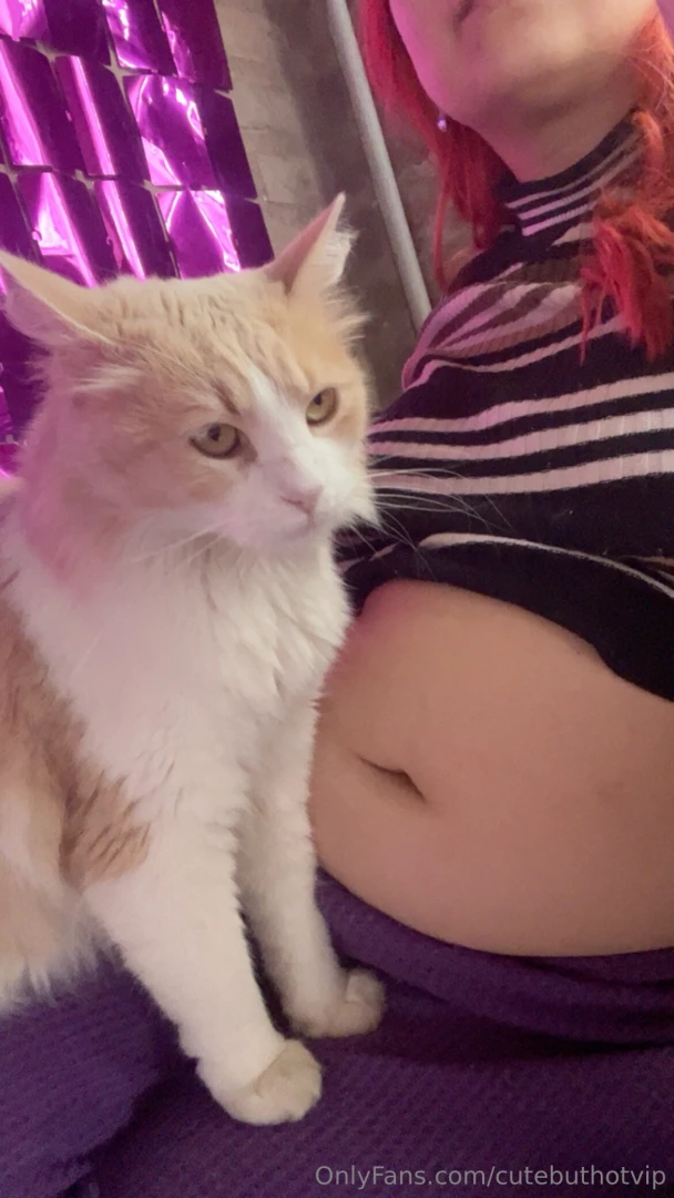 My cat loves my belly too 