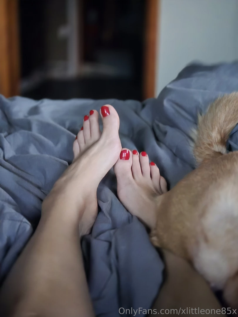 Good morning don t mind my dog still sleeping on me 