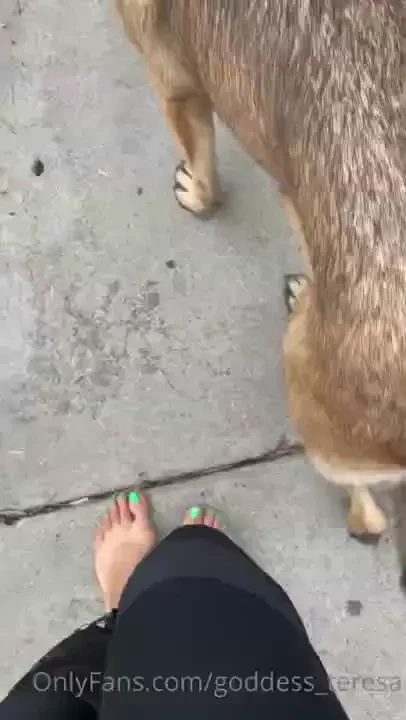 Videos i found in my camera roll part 16 