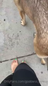 Videos i found in my camera roll part 16