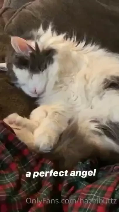 So we got some bloodwork done we think it s his kidneys starting to part 2 