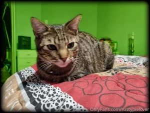 The first of many shoots with my furbabies introducing - rustypielover