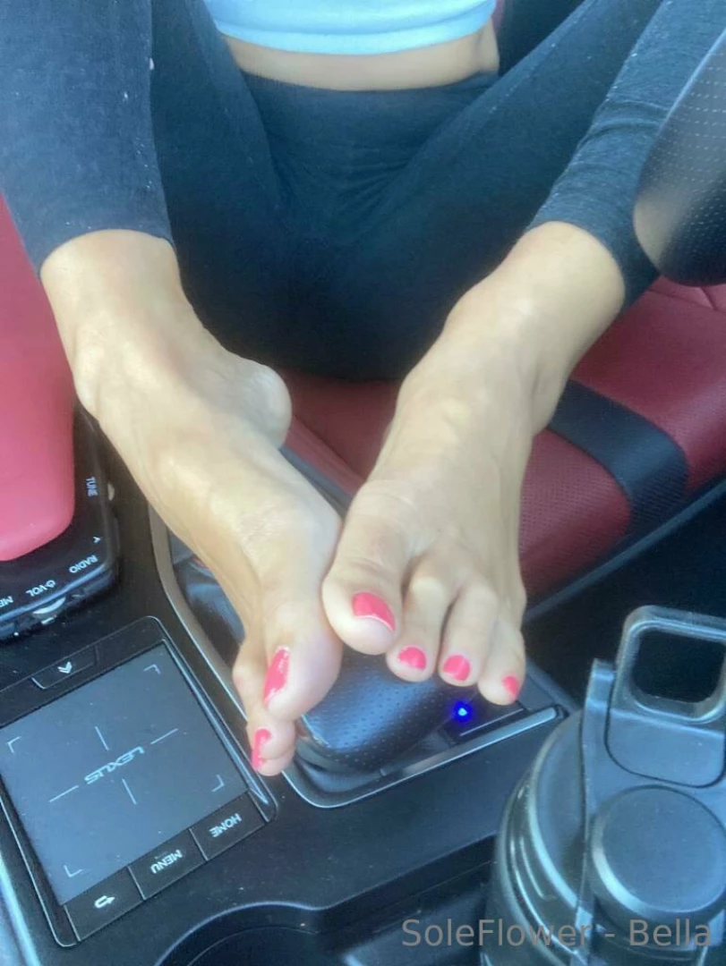 Soleflower-bella part 10 