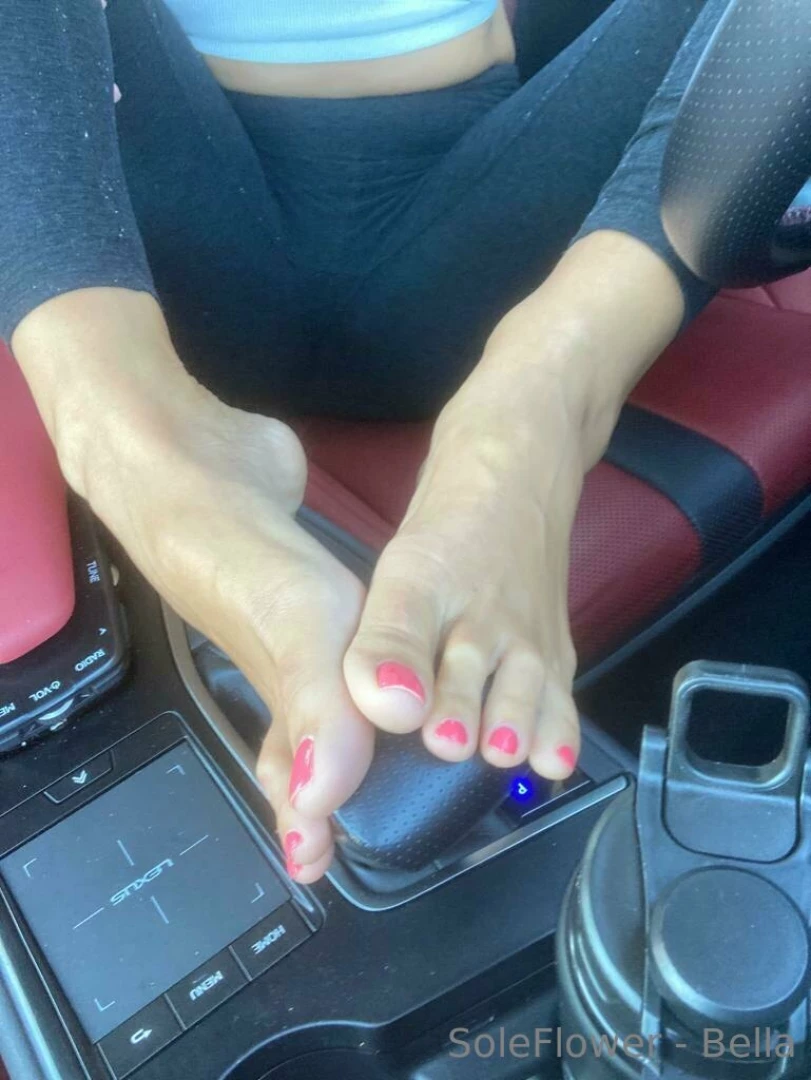 Soleflower-bella part 11 