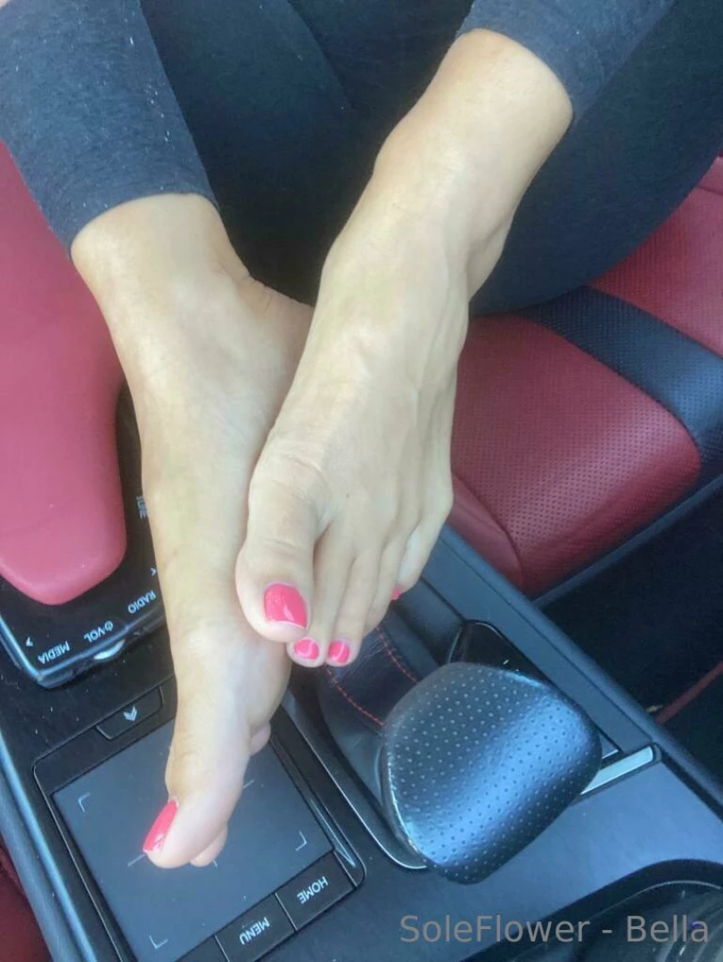 Soleflower-bella part 12 