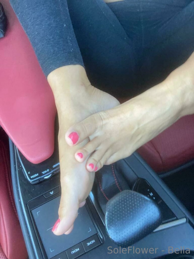 Soleflower-bella part 15 