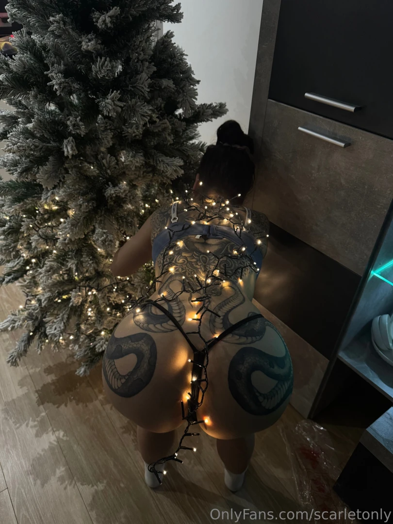 Me ayudas a montar las luces del rbol 