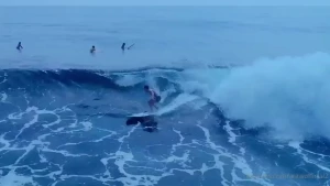 Return of the araw being a bottom was few months ago i just don t know