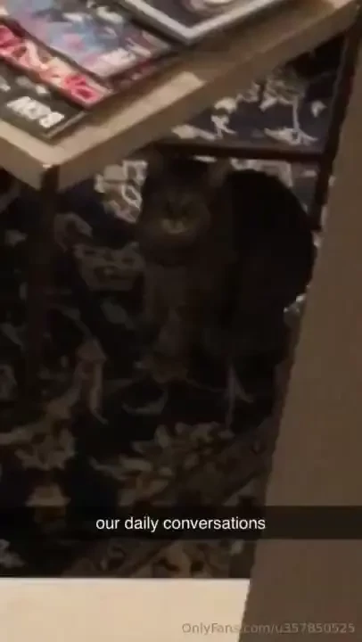 Pussy video 