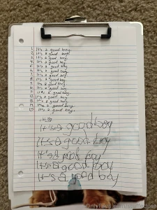 Pup had to write lines to remind itself gt gt