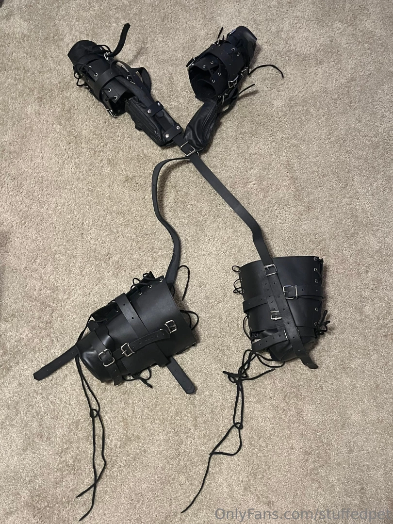 What do you wanna see puppy do in its new suit 