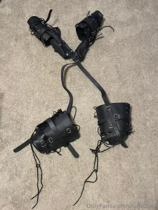 What do you wanna see puppy do in its new suit