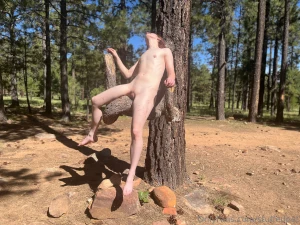 I found a cool tree part 4