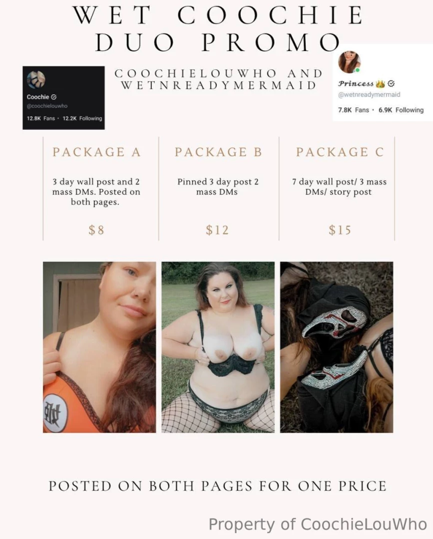 1 promo - 1 price - 2 pages 