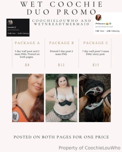 1 promo - 1 price - 2 pages