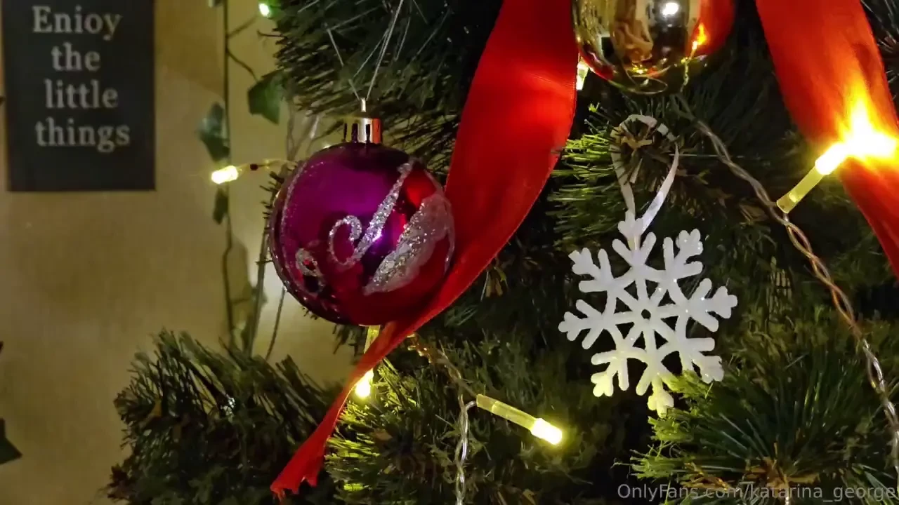 Merry christmas on these wonderful festive evenings i decorate the 