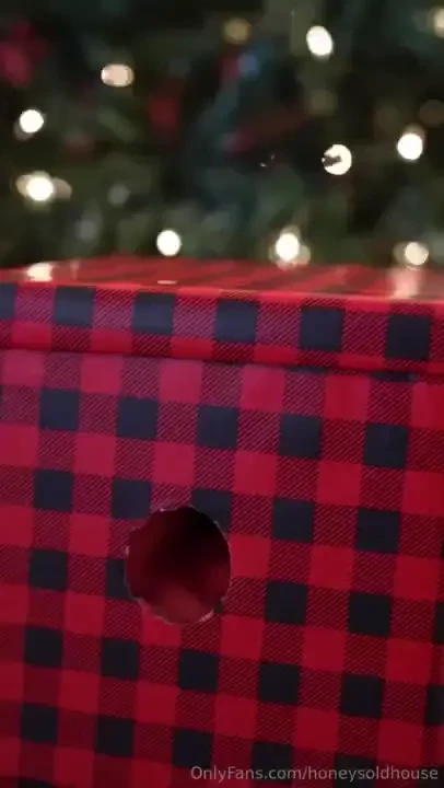 A christmas present came early this year and so did i you won t 