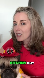 These tips could save your dog s life in a disaster whether it s a