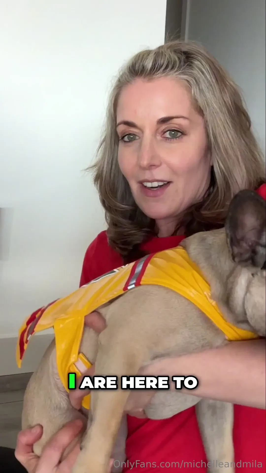 When disaster hits will you know what to grab for your dog here is our 