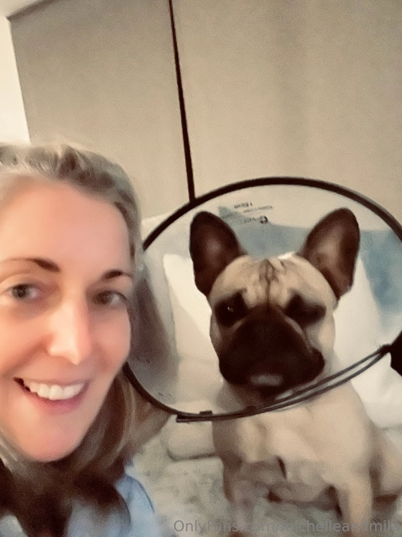 What s your favorite shows right now we need ideas to watch while mila 